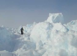 In the icy chaos