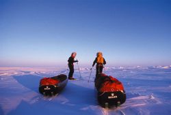 Arctic Arc: men and sledges - Copyright: R. Robert / IPF