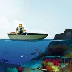 CD-ROM on Biodiversity and Climate Change